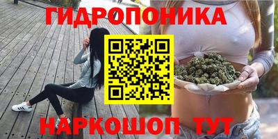 a pvp Пушкино